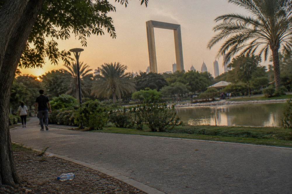 The Dubai Frame rising above the trees of Zabeel Park