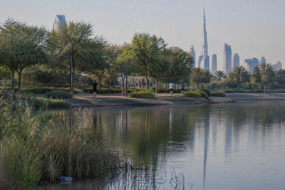 A public park with a pond and shaded walking path in Dubai