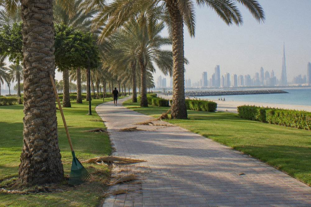 Tree-lined path and lawns in a Dubai public park